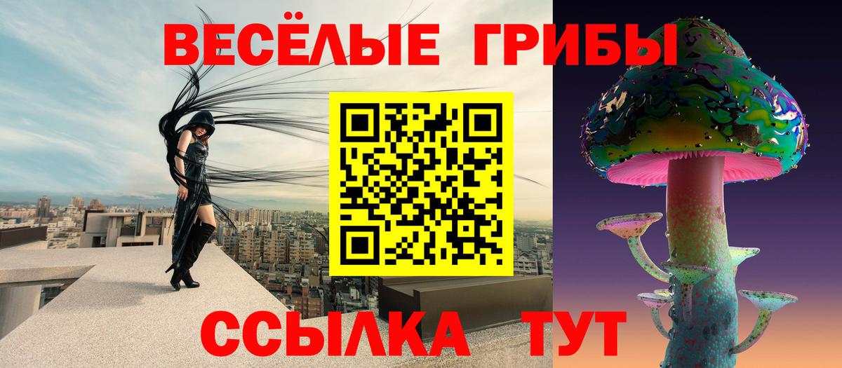 Красноуфимск  Галлюциногенные грибы прущие грибы  Вход с VPN  Псилоцибиновые грибы Psilocybe 